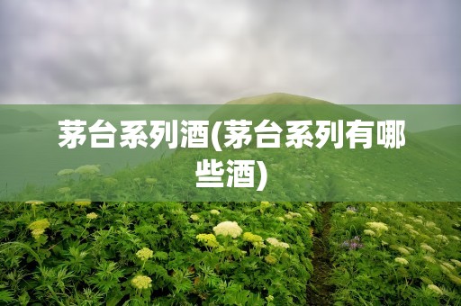 茅台系列酒(茅台系列有哪些酒)