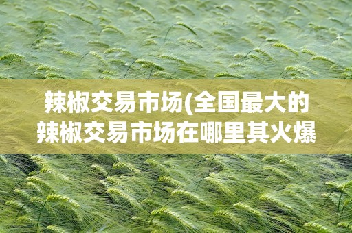 辣椒交易市场(全国最大的辣椒交易市场在哪里其火爆程度是怎样的)
