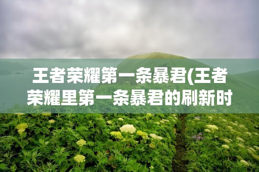 王者荣耀第一条暴君(王者荣耀里第一条暴君的刷新时间是开局多少分钟)