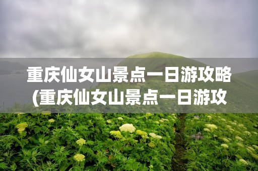 重庆仙女山景点一日游攻略(重庆仙女山景点一日游攻略图)