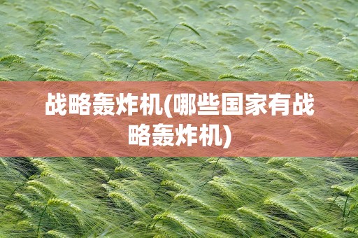 战略轰炸机(哪些国家有战略轰炸机)