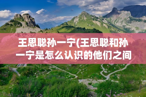 王思聪孙一宁(王思聪和孙一宁是怎么认识的他们之间发生了什么)