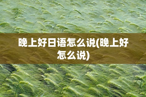 晚上好日语怎么说(晚上好怎么说)