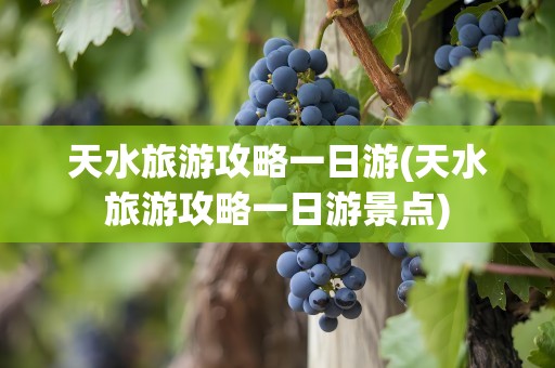 天水旅游攻略一日游(天水旅游攻略一日游景点)