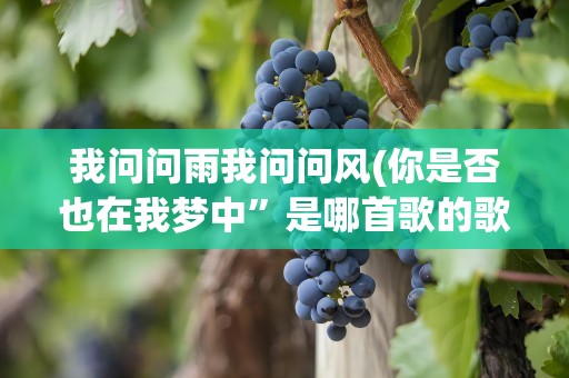 我问问雨我问问风(你是否也在我梦中”是哪首歌的歌词)