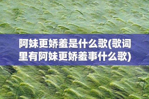 阿妹更娇羞是什么歌(歌词里有阿妹更娇羞事什么歌)