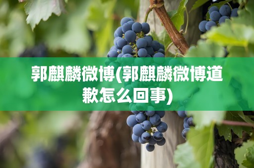 郭麒麟微博(郭麒麟微博道歉怎么回事)