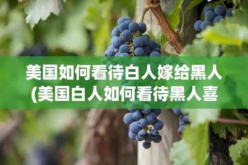 美国如何看待白人嫁给黑人(美国白人如何看待黑人喜欢与白人女性通婚的情况)