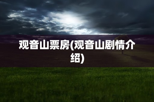 观音山票房(观音山剧情介绍)