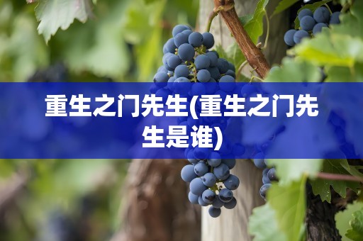重生之门先生(重生之门先生是谁)