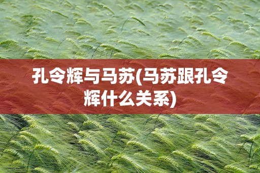 孔令辉与马苏(马苏跟孔令辉什么关系)