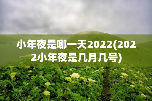 小年夜是哪一天2022(2022小年夜是几月几号)