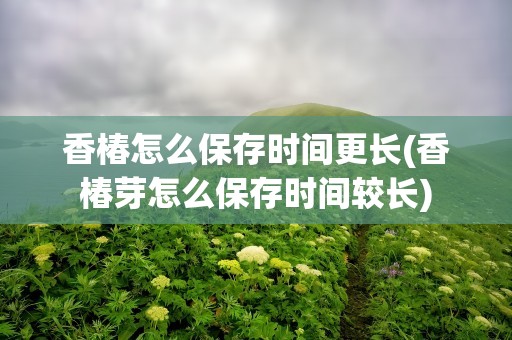 香椿怎么保存时间更长(香椿芽怎么保存时间较长)