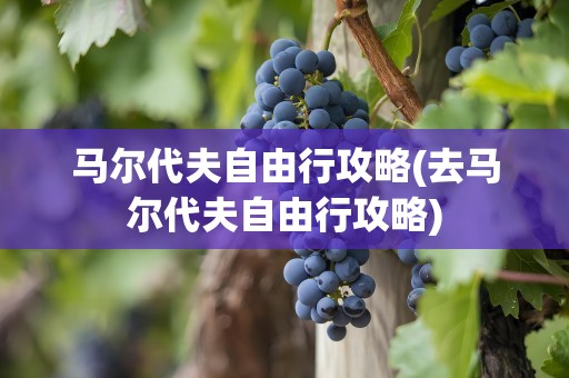 马尔代夫自由行攻略(去马尔代夫自由行攻略)