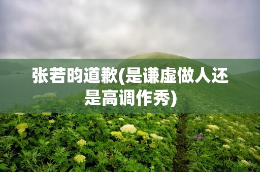张若昀道歉(是谦虚做人还是高调作秀)