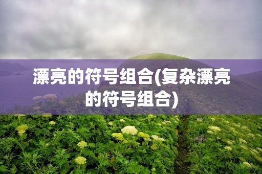 漂亮的符号组合(复杂漂亮的符号组合)