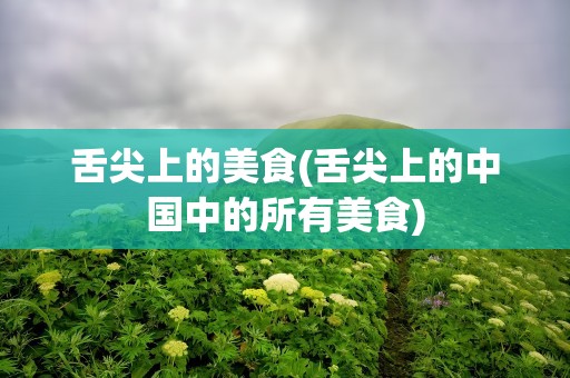 舌尖上的美食(舌尖上的中国中的所有美食)