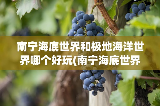 南宁海底世界和极地海洋世界哪个好玩(南宁海底世界和极地海洋世界哪个好玩一点)