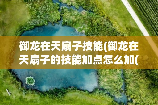 御龙在天扇子技能(御龙在天扇子的技能加点怎么加(最好有图))