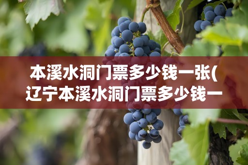 本溪水洞门票多少钱一张(辽宁本溪水洞门票多少钱一张)