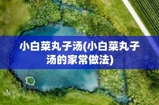小白菜丸子汤(小白菜丸子汤的家常做法)