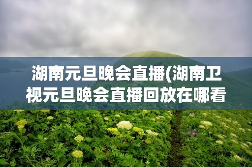 湖南元旦晚会直播(湖南卫视元旦晚会直播回放在哪看)