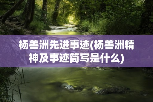 杨善洲先进事迹(杨善洲精神及事迹简写是什么)