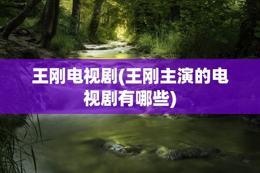 王刚电视剧(王刚主演的电视剧有哪些)
