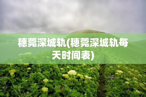 穗莞深城轨(穗莞深城轨每天时间表)