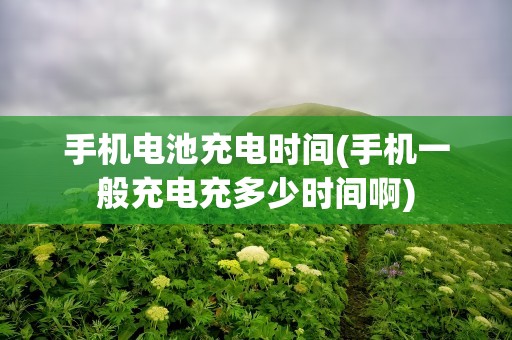手机电池充电时间(手机一般充电充多少时间啊)