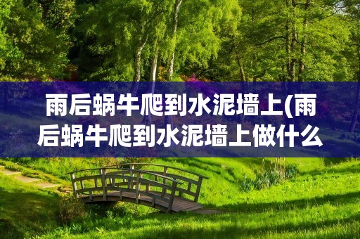 雨后蜗牛爬到水泥墙上(雨后蜗牛爬到水泥墙上做什么)