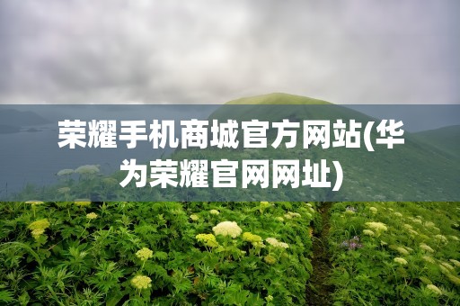 荣耀手机商城官方网站(华为荣耀官网网址)