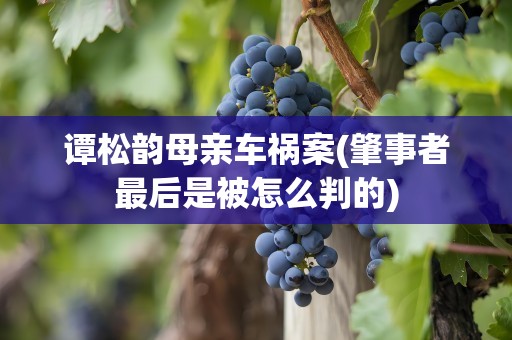 谭松韵母亲车祸案(肇事者最后是被怎么判的)