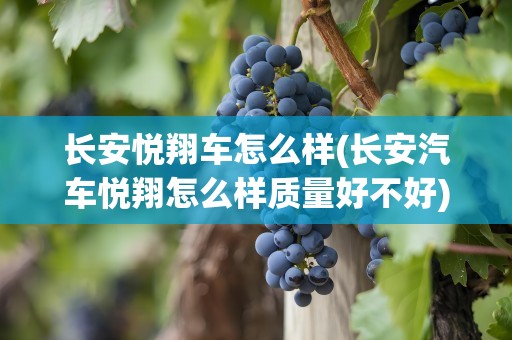长安悦翔车怎么样(长安汽车悦翔怎么样质量好不好)