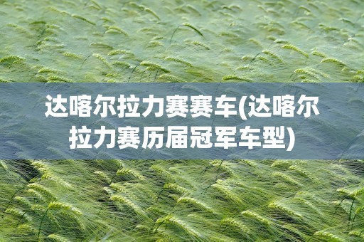 达喀尔拉力赛赛车(达喀尔拉力赛历届冠军车型)