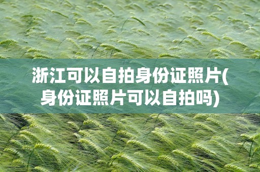 浙江可以自拍身份证照片(身份证照片可以自拍吗)