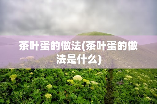 茶叶蛋的做法(茶叶蛋的做法是什么)