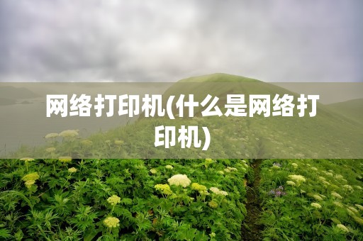 网络打印机(什么是网络打印机)