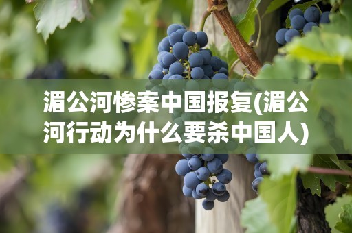 湄公河惨案中国报复(湄公河行动为什么要杀中国人)