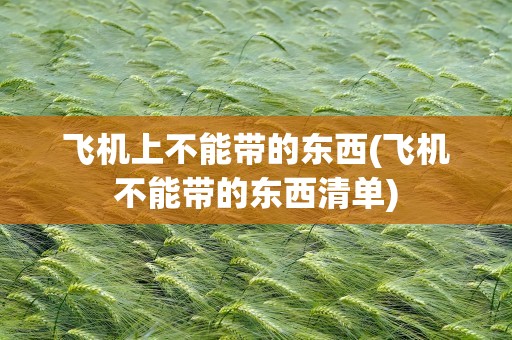 飞机上不能带的东西(飞机不能带的东西清单)
