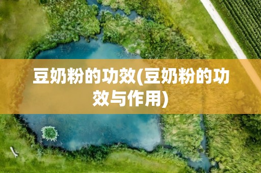 豆奶粉的功效(豆奶粉的功效与作用)