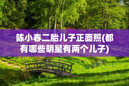 陈小春二胎儿子正面照(都有哪些明星有两个儿子)