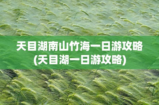 天目湖南山竹海一日游攻略(天目湖一日游攻略)