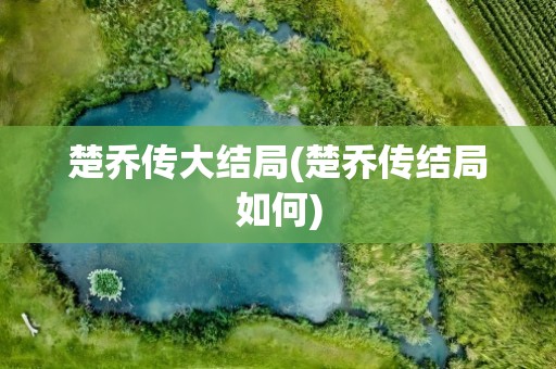 楚乔传大结局(楚乔传结局如何)