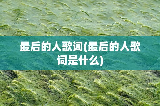 最后的人歌词(最后的人歌词是什么)