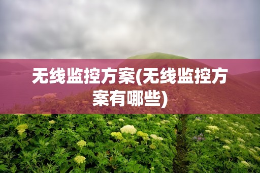 无线监控方案(无线监控方案有哪些)