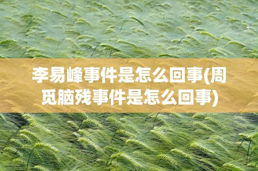 李易峰事件是怎么回事(周觅脑残事件是怎么回事)