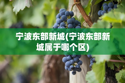 宁波东部新城(宁波东部新城属于哪个区)