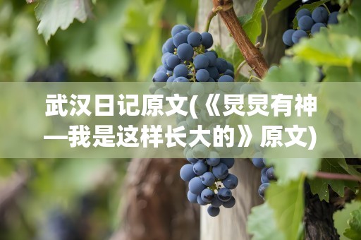 武汉日记原文(《炅炅有神—我是这样长大的》原文)