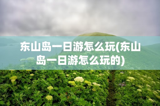 东山岛一日游怎么玩(东山岛一日游怎么玩的)